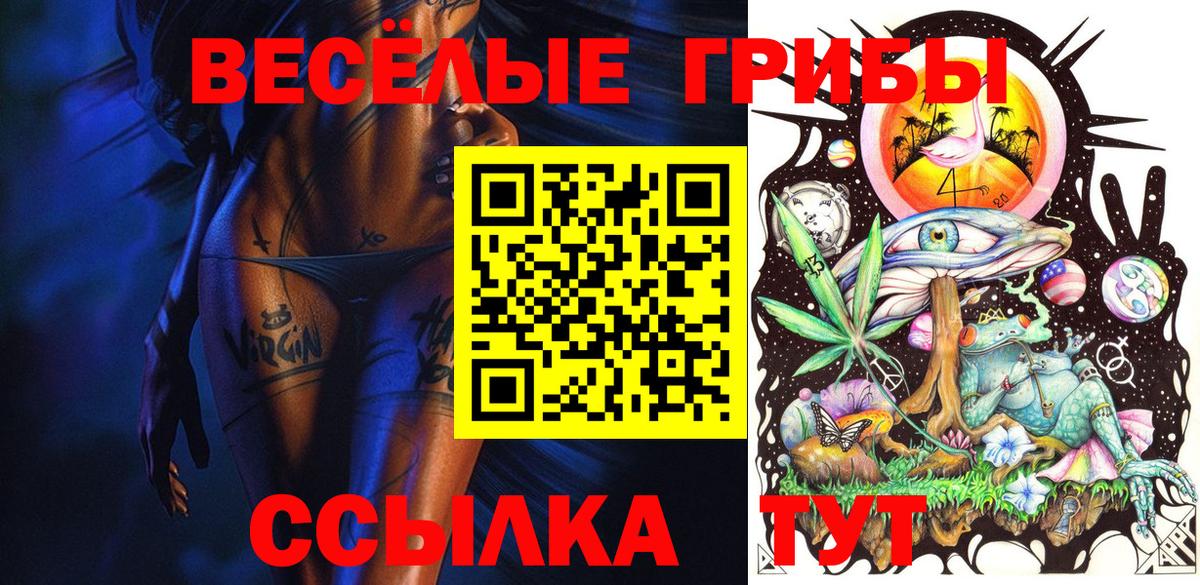 Псилоцибиновые грибы мицелий Еманжелинск