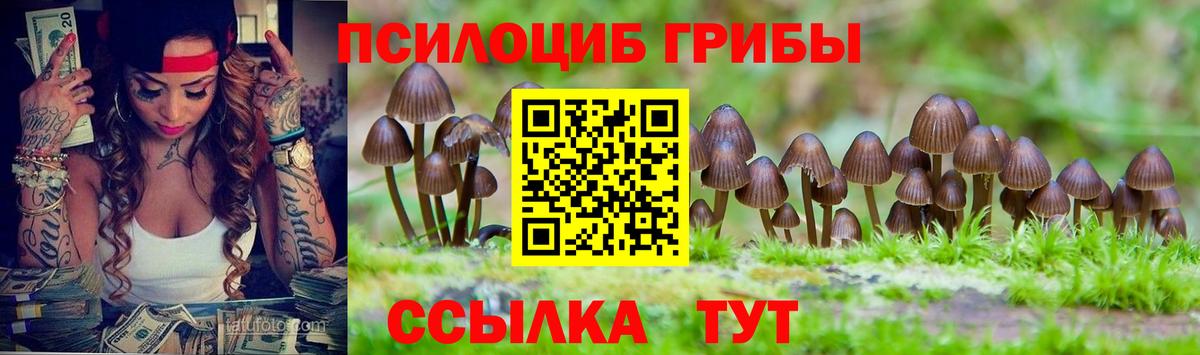 купить наркоту  Галлюциногенные грибы Magic Shrooms  Вход с VPN  Еманжелинск 